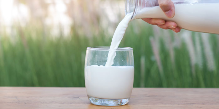 Risk And Side Effects Of Adulterated Milk