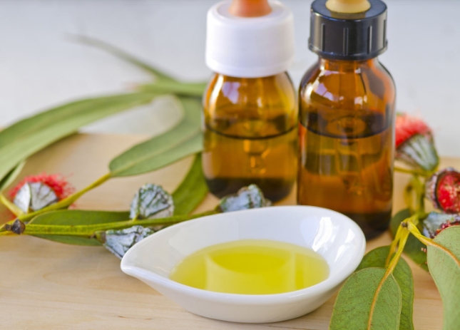 Eucalyptus Oil