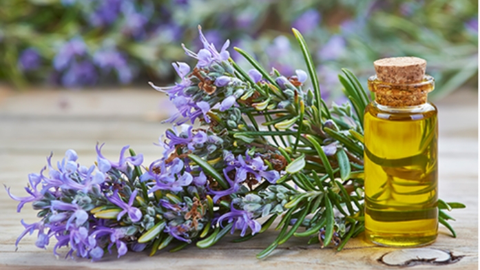 Rosemary Oil