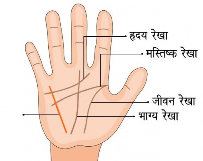 HAND PALM