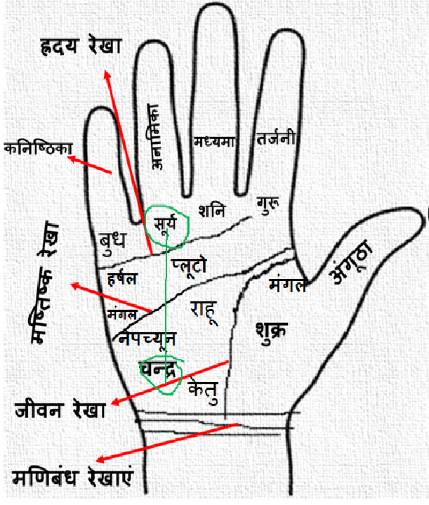 Hand Palm