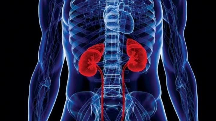 Kidney Disease