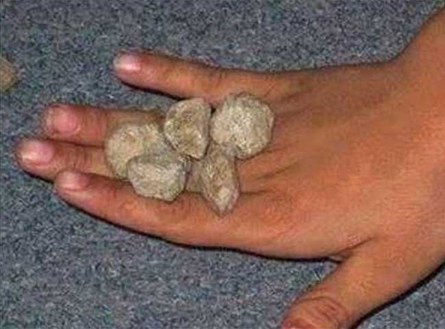 बीते बचपन की यादों में