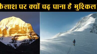 Kailash Parvat 1