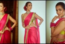 Malaika Arora Pink Saree