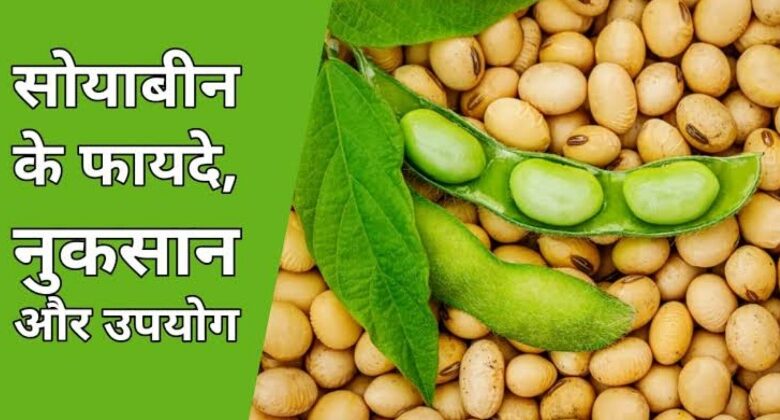Soyabean Ke Fayde Aur Nuksan