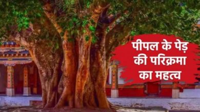 Peepal Ke Ped Ki Parikarma Ke Labh