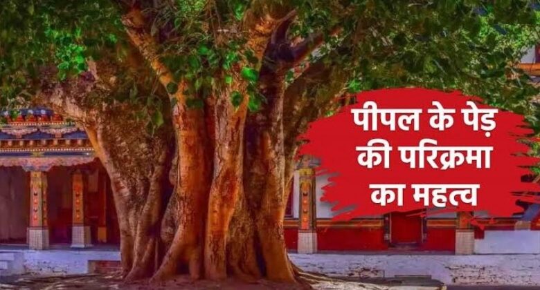 Peepal Ke Ped Ki Parikarma Ke Labh