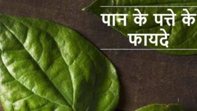 Paan Ke Patte Ke Fayde