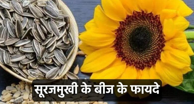 Sunflower Seeds Benefits In Hindi