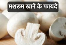Mushroom Khane Ke fayde