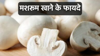 Mushroom Khane Ke fayde