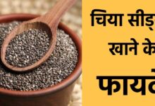 Chia Seeds Khane Ke Fayde