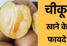 Chiku Khane Ke Fayde