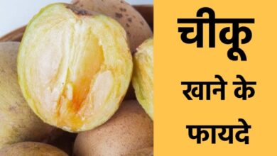 Chiku Khane Ke Fayde