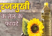 Sunflower Oil Benefits In Hindi