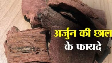 Arjun Ki Chaal Ke Fayde
