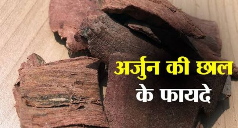 Arjun Ki Chaal Ke Fayde