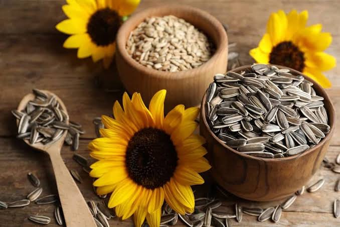 Sunflower Seeds 